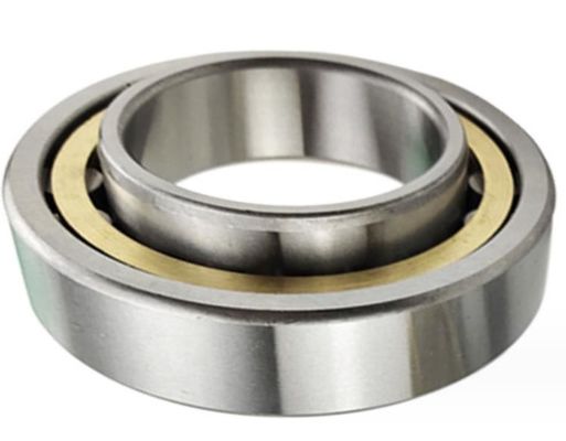 NU303 FAG Separable Cylindrical Roller Bearing P2 Precision Level 14MM Width