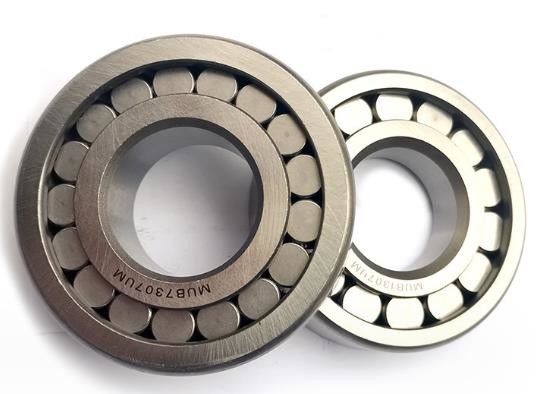 Afneembare cilindrische rollenlagers P4 Precision Praktische dubbele rij