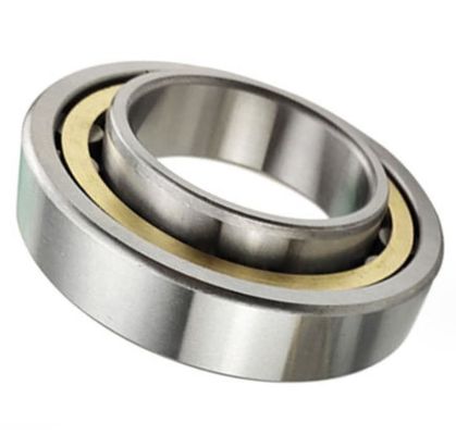 NU303 FAG Sferisch rollager 17*47*14mm P2 Precisie niveau voor hoofdas