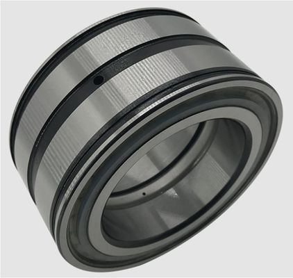 20 mm binnendimensionale dubbelrij cylindrische rollagers voor pompen en compressoren
